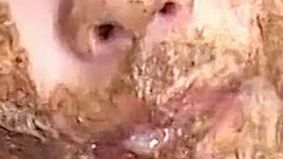 ScatKings.com Scat Porn