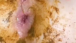 ScatKings.com Scat Porn
