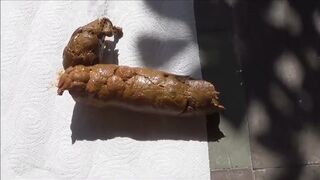 ScatKings.com Scat Porn