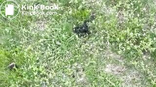 ScatKings.com Scat Porn