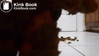 ScatKings.com Scat Porn