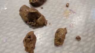 ScatKings.com Scat Porn