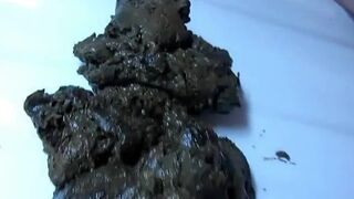 ScatKings.com Scat Porn