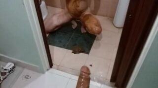 ScatKings.com Scat Porn