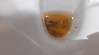 ScatKings.com Scat Porn