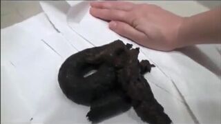 ScatKings.com Scat Porn