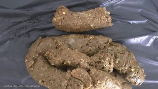 ScatKings.com Scat Porn