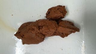 ScatKings.com Scat Porn