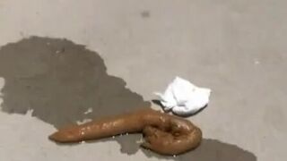 ScatKings.com Scat Porn