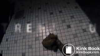 ScatKings.com Scat Porn