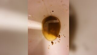 ScatKings.com Scat Porn