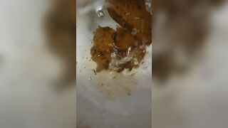 ScatKings.com Scat Porn