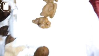 ScatKings.com Scat Porn
