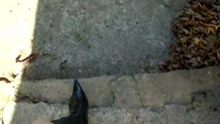 ScatKings.com Scat Porn