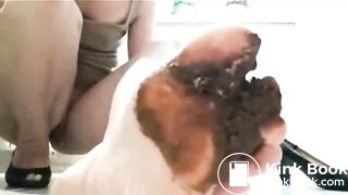 ScatKings.com Scat Porn