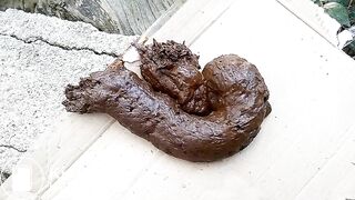 ScatKings.com Scat Porn