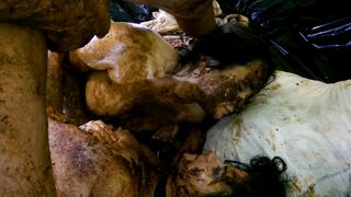 ScatKings.com Scat Porn