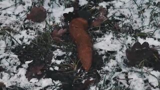 ScatKings.com Scat Porn