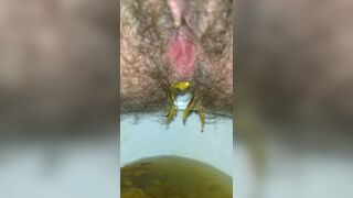 ScatKings.com Scat Porn