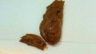 ScatKings.com Scat Porn
