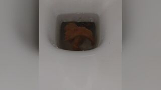 ScatKings.com Scat Porn