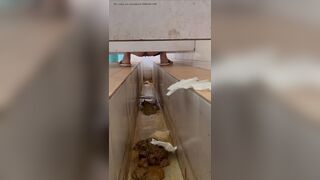 ScatKings.com Scat Porn