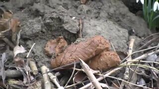ScatKings.com Scat Porn