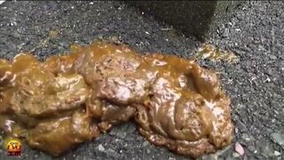 ScatKings.com Scat Porn