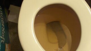 ScatKings.com Scat Porn