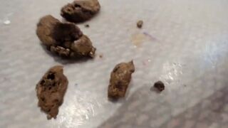 ScatKings.com Scat Porn