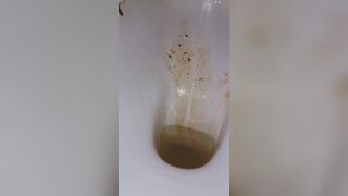ScatKings.com Scat Porn