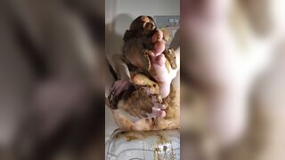 ScatKings.com Scat Porn