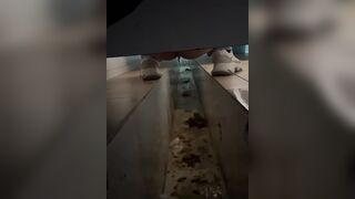 ScatKings.com Scat Porn