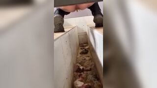 ScatKings.com Scat Porn