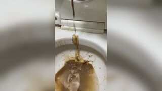 ScatKings.com Scat Porn