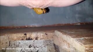 ScatKings.com Scat Porn