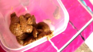 ScatKings.com Scat Porn