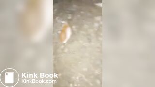 ScatKings.com Scat Porn