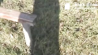ScatKings.com Scat Porn
