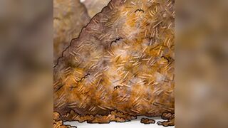 ScatKings.com Scat Porn