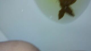 ScatKings.com Scat Porn