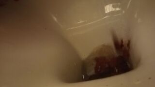 ScatKings.com Scat Porn
