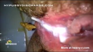 ScatKings.com Scat Porn