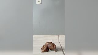 ScatKings.com Scat Porn