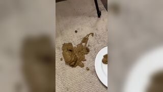 ScatKings.com Scat Porn