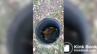 ScatKings.com Scat Porn