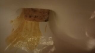 ScatKings.com Scat Porn