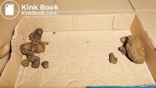 ScatKings.com Scat Porn