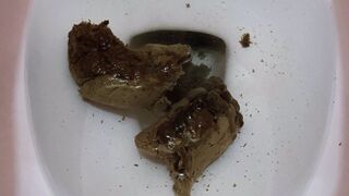 ScatKings.com Scat Porn