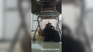 ScatKings.com Scat Porn